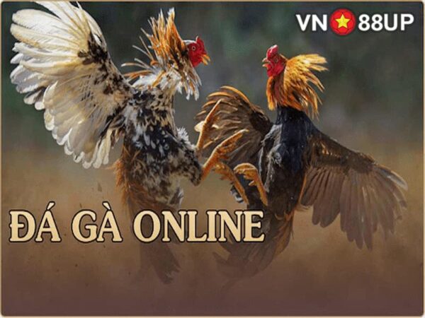 Hướng dẫn chơi đá gà Online VN88