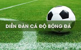 Lợi ích tham gia diễn đàn cá độ bóng đá