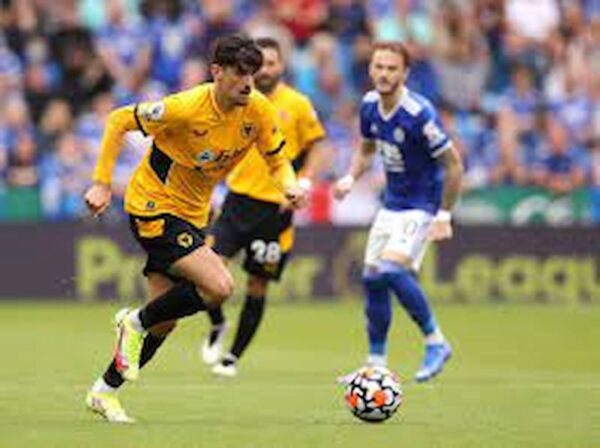 Soi kèo Leicester City vs Wolves, 21h00 ngày 22/4, ngoại hạng Anh